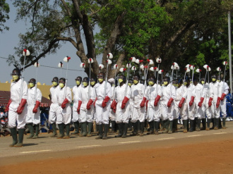 06 Brigade Phyto